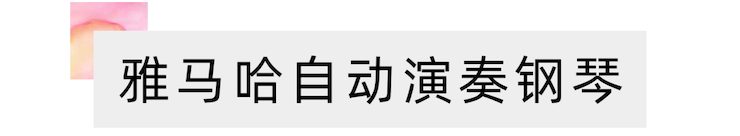 活动报道 | “科技助力，跨越时空”，小鹿纯子携手刘明康共享中日音乐盛宴